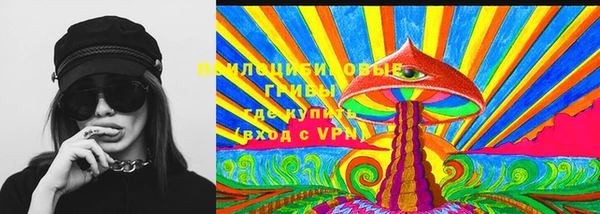 крисы Сафоново