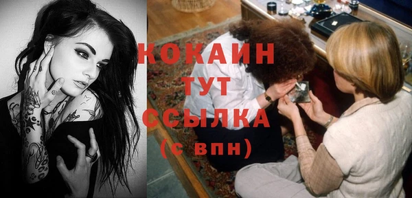 мяу мяу мука Баксан