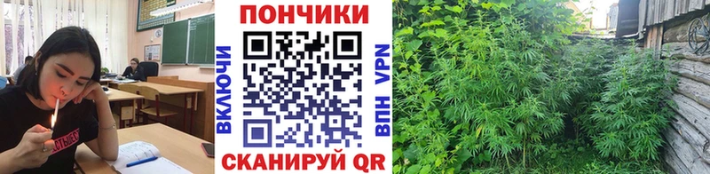 наркотики  Бугуруслан  Каннабис OG Kush 